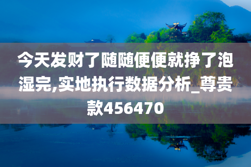 今天发财了随随便便就挣了泡湿完,实地执行数据分析_尊贵款456470