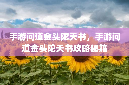手游问道金头陀天书，手游问道金头陀天书攻略秘籍