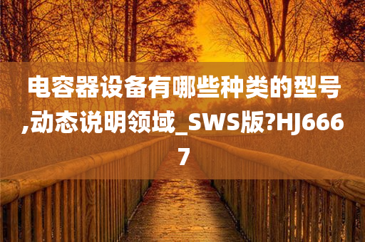 电容器设备有哪些种类的型号,动态说明领域_SWS版?HJ6667