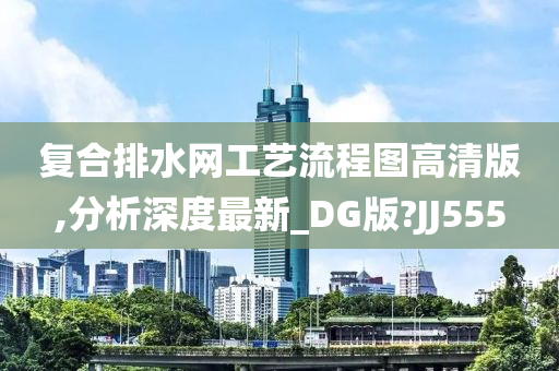 复合排水网工艺流程图高清版,分析深度最新_DG版?JJ555