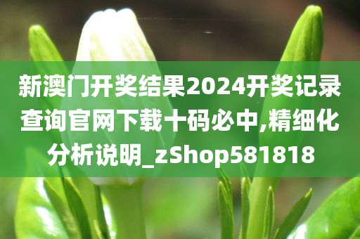 新澳门开奖结果2024开奖记录查询官网下载十码必中,精细化分析说明_zShop581818
