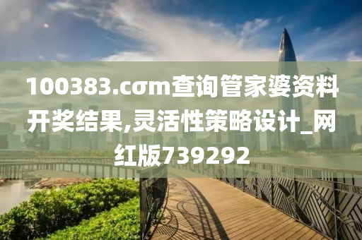 100383.cσm查询管家婆资料开奖结果,灵活性策略设计_网红版739292