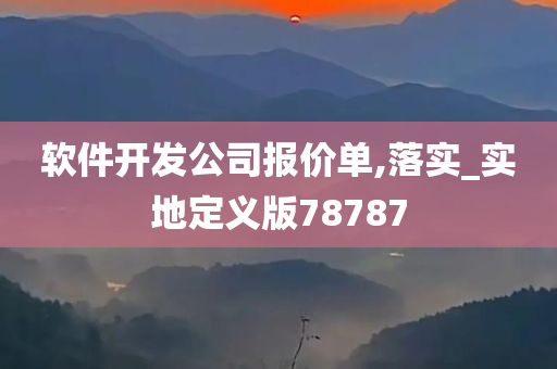 软件开发公司报价单,落实_实地定义版78787