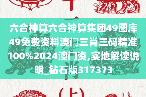 六合神算六合神算集团49图库49免费资料澳门三肖三码精准100%2024澳门资,实地解读说明_钻石版317373
