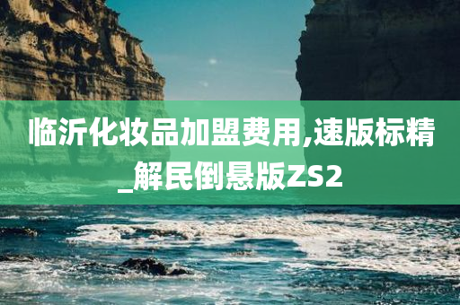 临沂化妆品加盟费用,速版标精_解民倒悬版ZS2