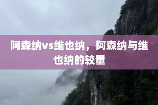 阿森纳vs维也纳，阿森纳与维也纳的较量