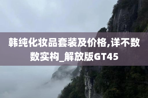 韩纯化妆品套装及价格,详不数数实构_解放版GT45