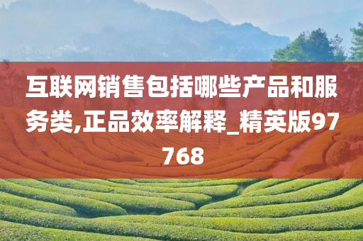 互联网销售包括哪些产品和服务类,正品效率解释_精英版97768