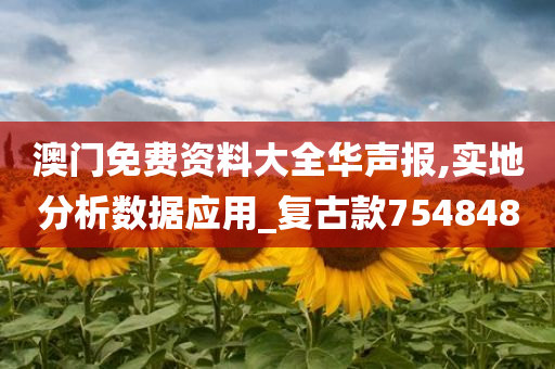 澳门免费资料大全华声报,实地分析数据应用_复古款754848