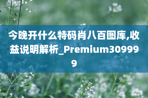 今晚开什么特码肖八百图库,收益说明解析_Premium309999