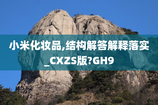 小米化妆品,结构解答解释落实_CXZS版?GH9