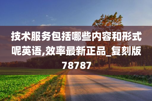 技术服务包括哪些内容和形式呢英语,效率最新正品_复刻版78787