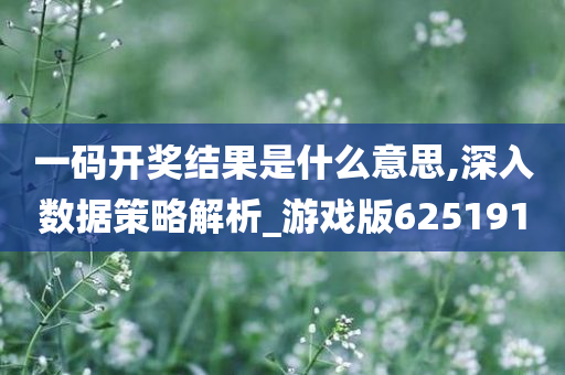 一码开奖结果是什么意思,深入数据策略解析_游戏版625191