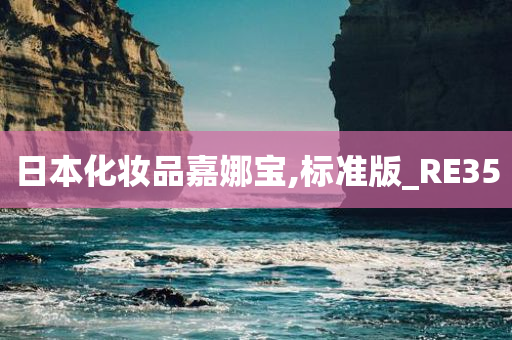 RE35 第5页