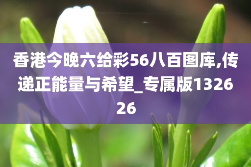 香港今晚六给彩56八百图库,传递正能量与希望_专属版132626