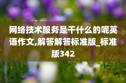 网络技术服务是干什么的呢英语作文,解答解答标准版_标准版342