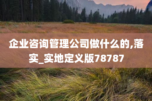 企业咨询管理公司做什么的,落实_实地定义版78787
