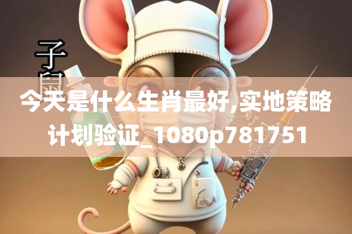 今天是什么生肖最好,实地策略计划验证_1080p781751