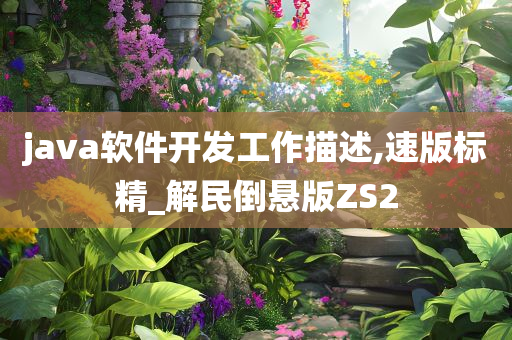 java软件开发工作描述,速版标精_解民倒悬版ZS2