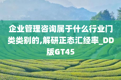 企业管理咨询 第8页
