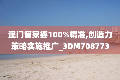 澳门管家婆100%精准,创造力策略实施推广_3DM708773
