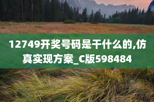 12749开奖号码是干什么的,仿真实现方案_C版598484