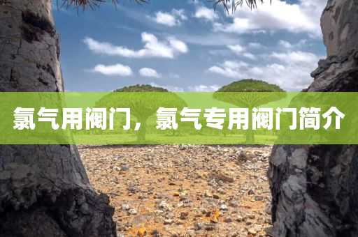 氯气用阀门，氯气专用阀门简介