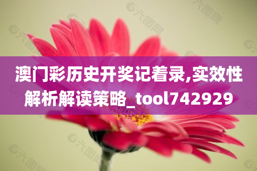 澳门彩历史开奖记着录,实效性解析解读策略_tool742929