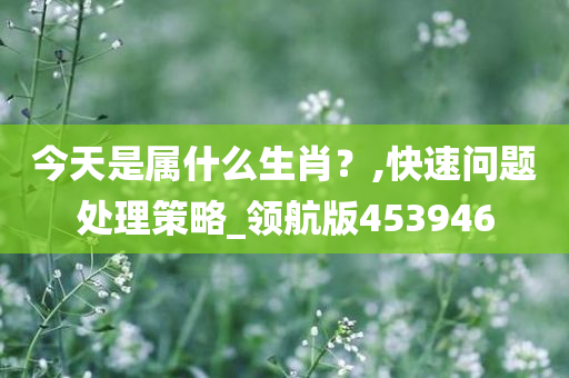 今天是属什么生肖？,快速问题处理策略_领航版453946