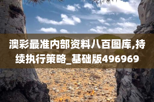 澳彩最准内部资料八百图库,持续执行策略_基础版496969
