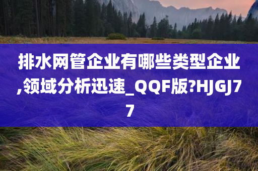 排水网管企业有哪些类型企业,领域分析迅速_QQF版?HJGJ77