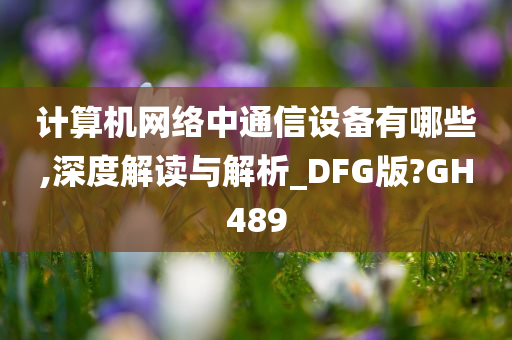 计算机网络中通信设备有哪些,深度解读与解析_DFG版?GH489