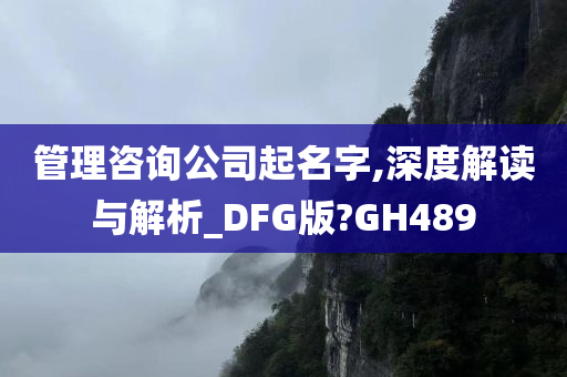 管理咨询公司起名字,深度解读与解析_DFG版?GH489