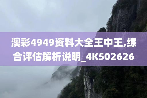 澳彩4949资料大全王中王,综合评估解析说明_4K502626