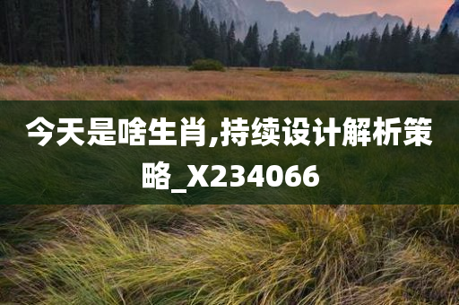 今天是啥生肖,持续设计解析策略_X234066