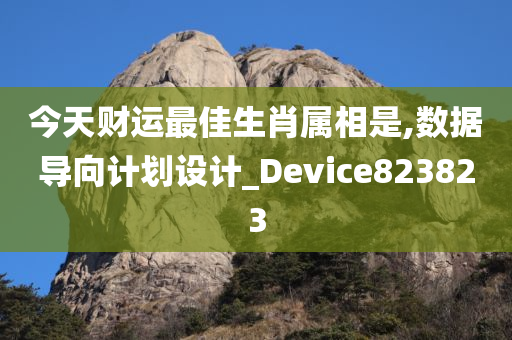 今天财运最佳生肖属相是,数据导向计划设计_Device823823