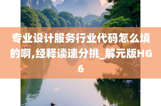 专业设计服务行业代码怎么填的啊,经释读速分挑_解元版HG6