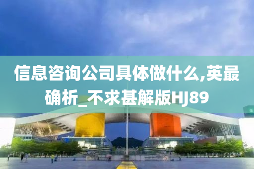 信息咨询公司具体做什么,英最确析_不求甚解版HJ89