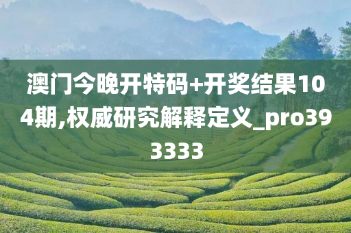 澳门今晚开特码+开奖结果104期,权威研究解释定义_pro393333