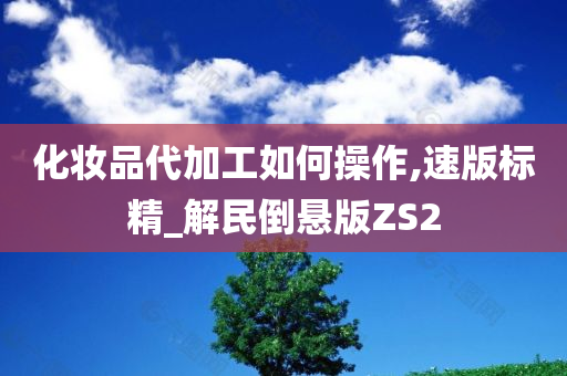 化妆品代加工如何操作,速版标精_解民倒悬版ZS2