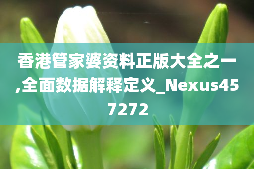 香港管家婆资料正版大全之一,全面数据解释定义_Nexus457272