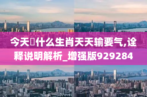 今天岀什么生肖天天输要气,诠释说明解析_增强版929284