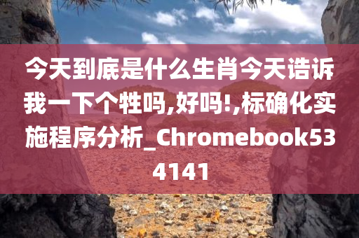 今天到底是什么生肖今天诰诉我一下个牲吗,好吗!,标确化实施程序分析_Chromebook534141