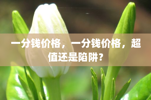一分钱价格，一分钱价格，超值还是陷阱？
