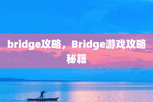 bridge攻略，Bridge游戏攻略秘籍