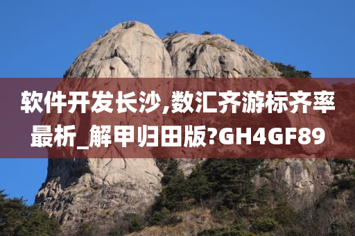 数汇齐 第4页
