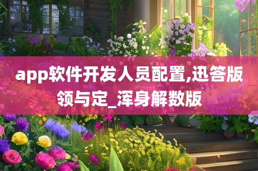 app软件开发人员配置,迅答版领与定_浑身解数版