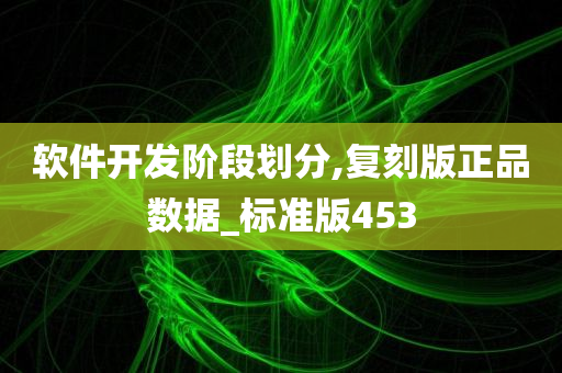 软件开发阶段划分,复刻版正品数据_标准版453