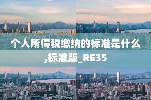 个人所得税缴纳的标准是什么,标准版_RE35