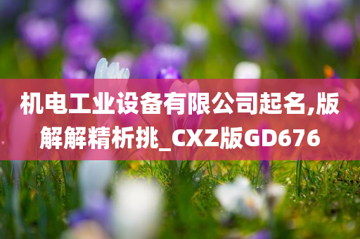 机电工业设备有限公司起名,版解解精析挑_CXZ版GD676今晚必出三肖2025_2025新澳门精准免费提供·精确判断